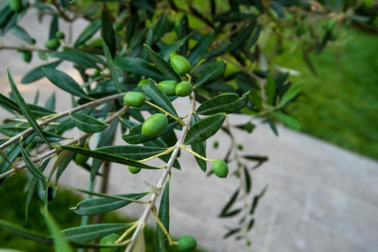 דירות Peraía Olive 303 מראה חיצוני תמונה